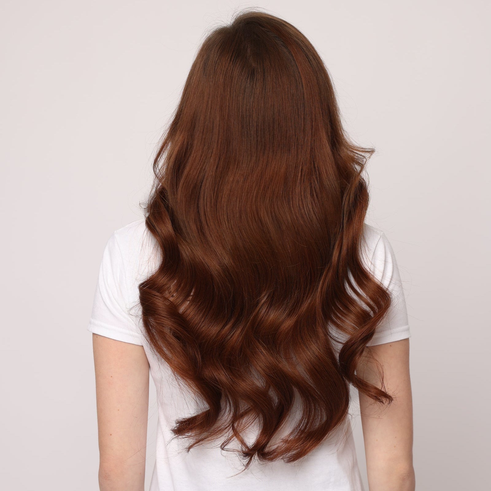 Chestnut Brown, Genius Weft